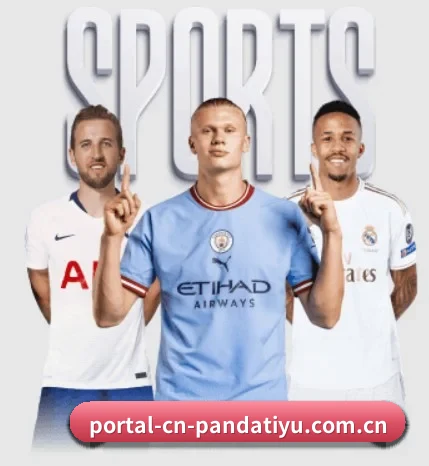 portal-cn-pandatiyu.com.cn的方向